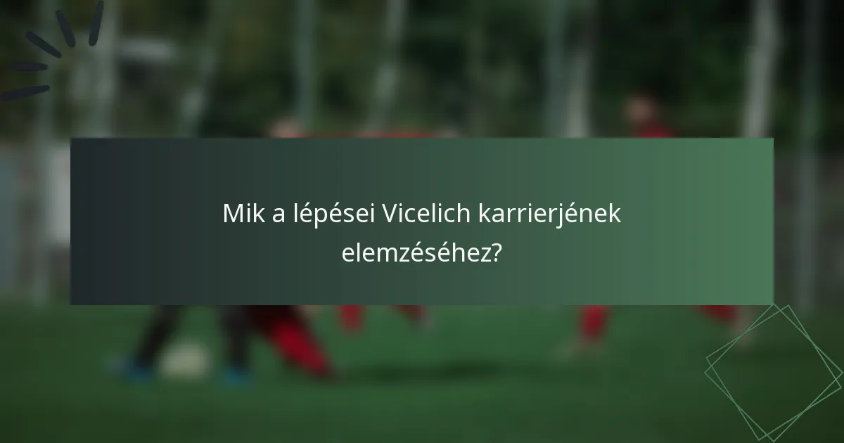 Mik a lépései Vicelich karrierjének elemzéséhez?
